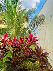 Casa temporada próximo ao Cumbuco