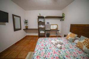 Large family house in Cabo , pet friendly