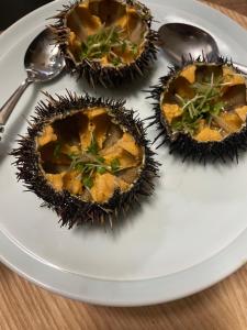 民宿上田屋A Traditional Coastal Fishermans Guesthouse uedaya