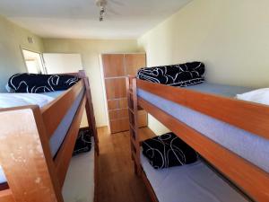 2 Pièces - Près des Pistes - Animaux Admis - FR-1-771-51