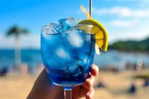 lançamento Pousada Machados Florianopolis