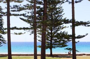 Manly Vista