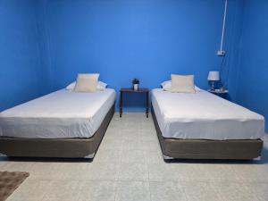 Rat Min in Town Hostel