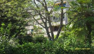 Apartman-studio Adriana 3