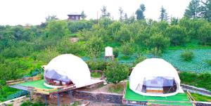 Astro Orchard Glamps and Hostels