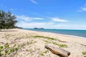 Belle Escapes Rainforest Shore