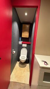 Bel appartement tout confort 4 personnes ski aux pieds
