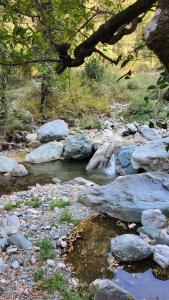 Maharaj Homestay kainchi dham