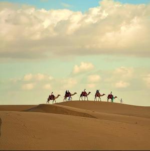 Sam Desert Safari Camping Jaisalmer - Best Desert Camp