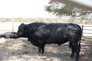 Family-Friendly Farm Room & Animals & Nature Stay