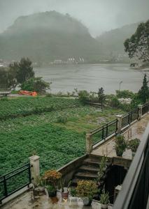 Lotus Nexura Escapes