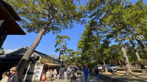 春日奈良 鹿のや