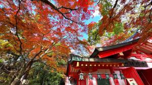 春日奈良 鹿のや