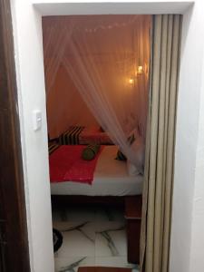 Forest Paddy Homestay