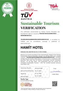 Hamit Hotel Istanbul - Special Category