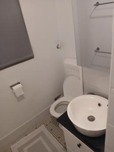 Oasis mount apartments