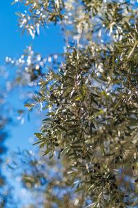 Apartment Paris with jacuzzi and sea view