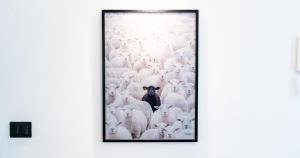 The Black Sheep, Airco - No Lift