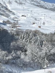 LE CORBIER Vue pistes Studio 5 personnes entièrement rénové et labellisé Qualité Hébergement Sybelles