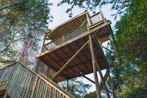 The Dome, Private Pool, Hot tub, Free Standing Bath, Private Game Reserve, Stargazing, Giraffe Tower, Romantic Getaway, Ultimate Bush Luxury