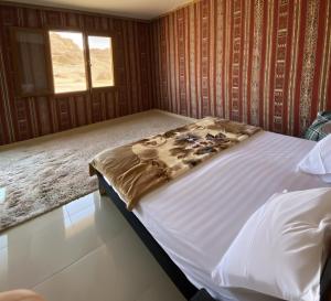 Wadi Rum Golden Sands Camp