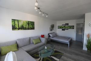 Modernes Appartement mit großem Balkon und schöner Aussicht