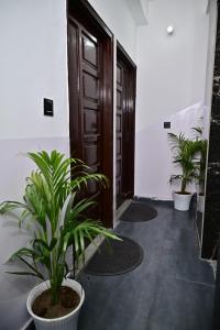 Mysticism Yoga and Wellness Centre