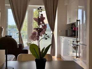 Worker and Family Studio - 2 Beds - Stockholm