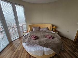 Rooftop apartment with stunning view