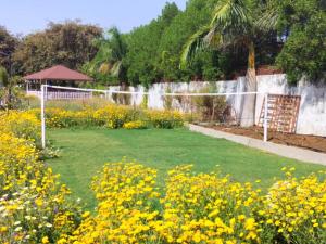 Golden Orchard Mornings