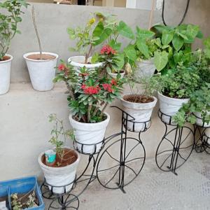 Furnished 2 BHK Apartment