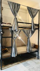 Pushkar Stay