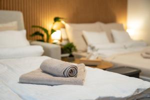 ZEN APT Prague 1 City Center Modern Studio