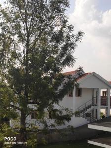 Lush Green View Cottage 3BH