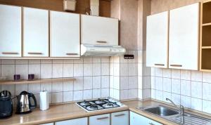 Vilnius Old Town Riverside Apartment