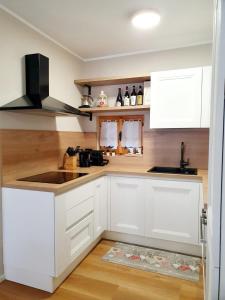 Alpine apartment Ponte di Legno