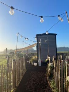 Tiny House Alpakablick - inklusive gratis Alpaka Meet & Greet