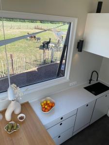 Tiny House Alpakablick - inklusive gratis Alpaka Meet & Greet