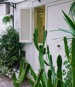 Marinella House Napoli centro Piazza Dante