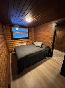 Arvoneliöt Lomahimos 18