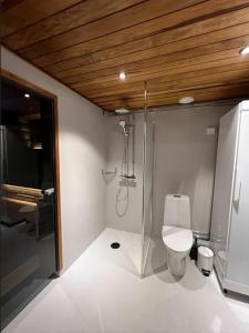 Arvoneliöt Lomahimos 17