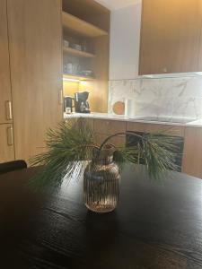 Satamanhelmen näköalahuoneisto