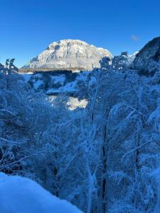 Hotel und Naturhaus Bellevue