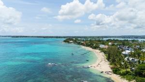 Modern and comfortable apartment