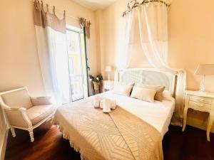 New Malaga center Madre de Dios premium