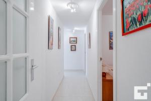 Apartamento Apolo XVII 19 - Grupo Turis