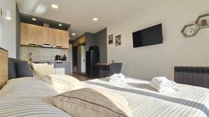 GVC New Gudauri Loft-2