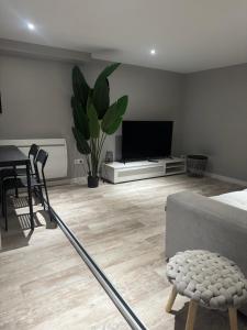 Geis 4 places 50m2 en sous plex