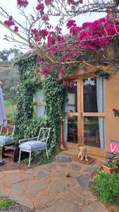 Nature Sanctuary, a semi-detached house on an ecological & sustainable farm