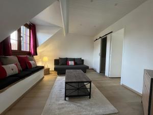 Les Fossiles à 10 min zoo Beauval